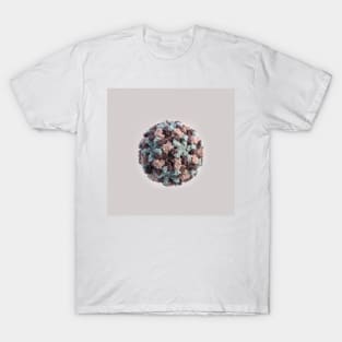 Microscopic Images: Norovirus Virion Close-up T-Shirt